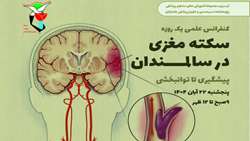  وبینار آموزشی با عنوان«سکته مغزی در سالمندان: از پیشگیری تا توانبخشی» برگزار شد/ تاکید بر اهمیت ارائه خدمات باکیفیت به جامعه ایثارگری 