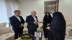 تأکید بر نقش ماندگار خانواده شهدا/آغاز تدوین دایرة‌المعارف شهدای جنگ ۱۲روزه