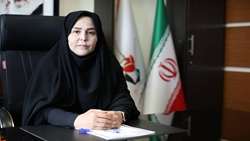 موکب بنیاد شهید شهرستان‌های تهران در مسیر جاماندگان اربعین برپا می‌شود/ توسعه ویژه برنامه‌های فرهنگی و حضور فرزندان شهدای جنگ ۱۲ روزه