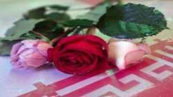 اهدای گل به تعداد شهدای جنگ رمضان در راهپیمایی غدیر