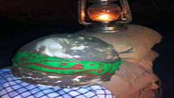 برگزاری یادواره 67 شهید کارگری