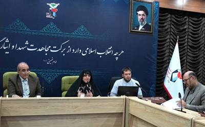 تاکید معاون تعاون بنیاد شهید بر تسریع در تامین مسکن ایثارگران در نشست وبیناری با مدیران کل استان‌ها